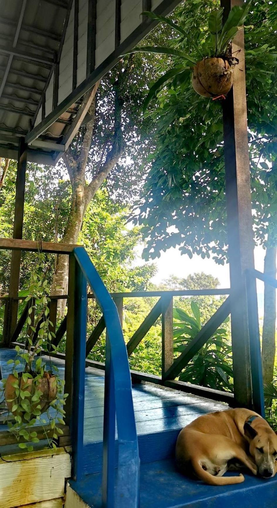 Rasta View Bangalows Koh Chang Exterior foto
